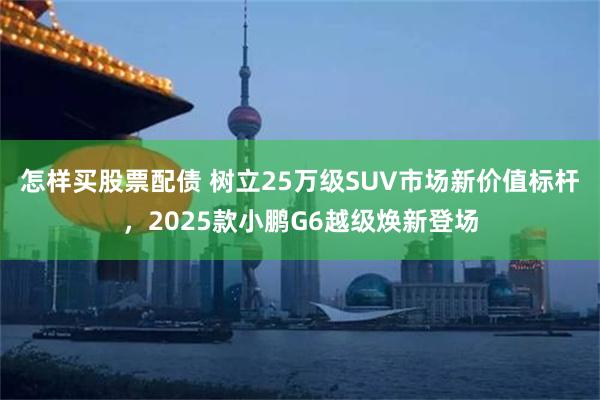 怎样买股票配债 树立25万级SUV市场新价值标杆，2025款小鹏G6越级焕新登场