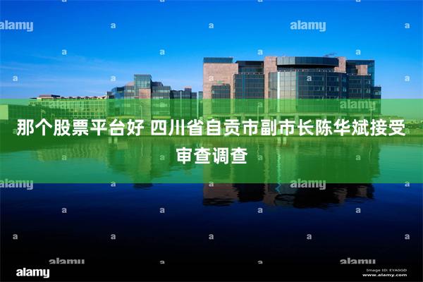 那个股票平台好 四川省自贡市副市长陈华斌接受审查调查