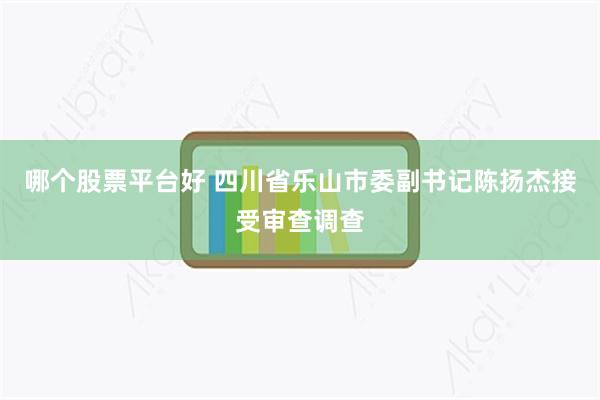 哪个股票平台好 四川省乐山市委副书记陈扬杰接受审查调查