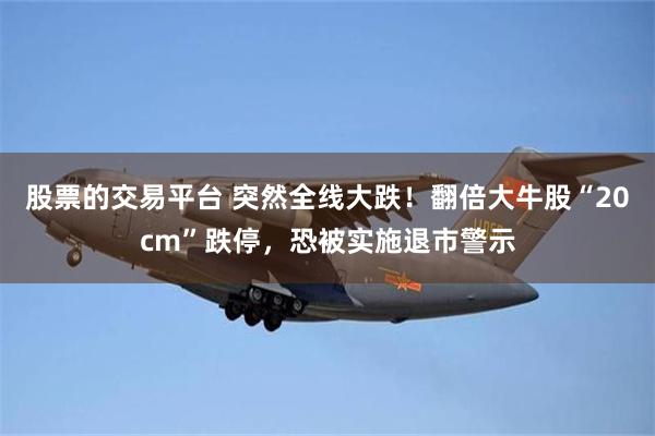 股票的交易平台 突然全线大跌！翻倍大牛股“20cm”跌停，恐被实施退市警示