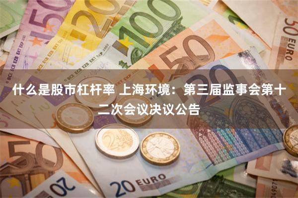 什么是股市杠杆率 上海环境：第三届监事会第十二次会议决议公告