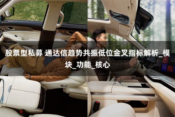 股票型私募 通达信趋势共振低位金叉指标解析_模块_功能_核心