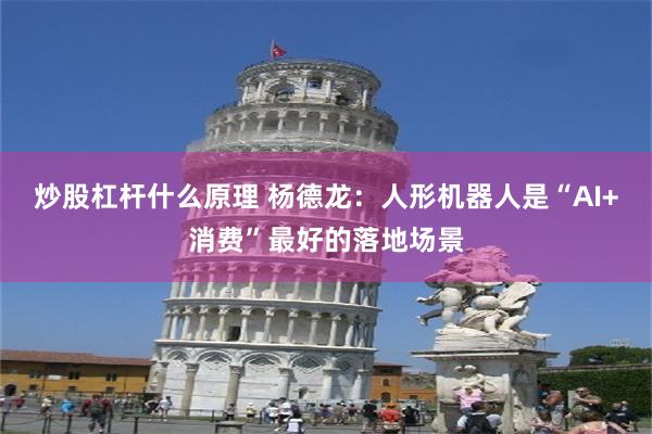炒股杠杆什么原理 杨德龙：人形机器人是“AI+消费”最好的落地场景