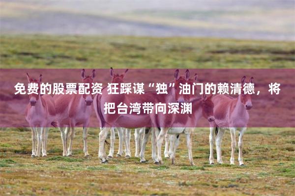免费的股票配资 狂踩谋“独”油门的赖清德，将把台湾带向深渊