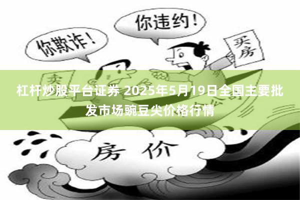 杠杆炒股平台证券 2025年5月19日全国主要批发市场豌豆尖价格行情