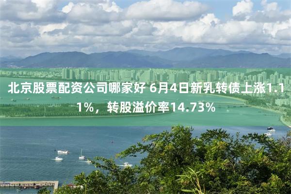 北京股票配资公司哪家好 6月4日新乳转债上涨1.11%，转股溢价率14.73%