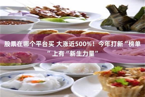 股票在哪个平台买 大涨近500%！今年打新“榜单”上有“新生力量”