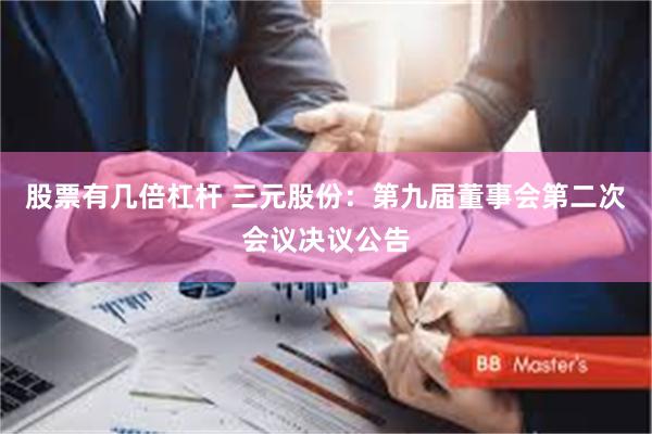 股票有几倍杠杆 三元股份：第九届董事会第二次会议决议公告