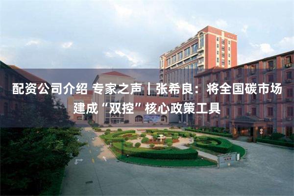配资公司介绍 专家之声｜张希良：将全国碳市场建成“双控”核心政策工具