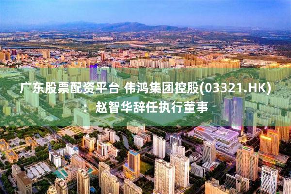 广东股票配资平台 伟鸿集团控股(03321.HK)：赵智华辞任执行董事